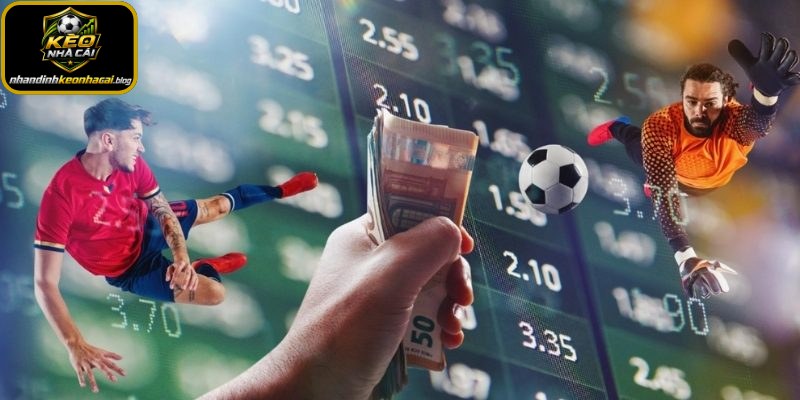 Theo dõi biến động Odds