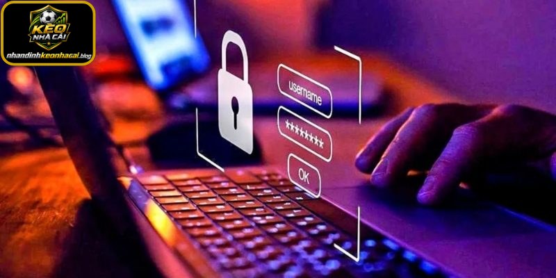 Quyền của người dùng về chính sách bảo mật tại web