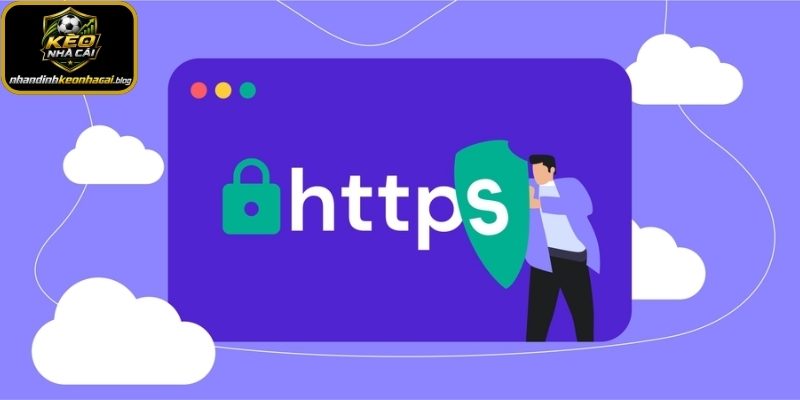 Điều khoản sử dụng về quyền truy cập, sử dụng web
