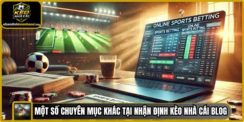 Một số chuyên mục khác tại nhận định kèo nhà cái blog