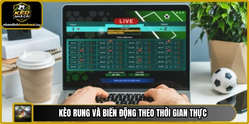 Kèo rung và biến động theo thời gian thực