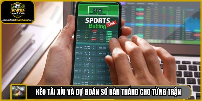 Kèo tài xỉu và dự đoán số bàn thắng