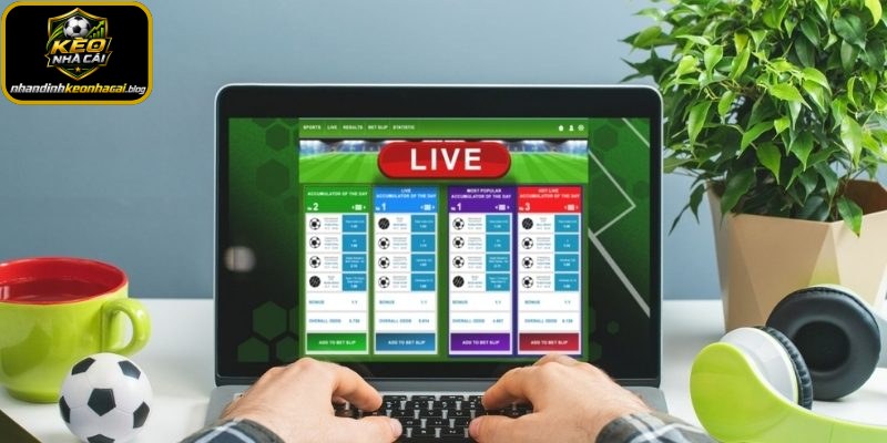 Độ tin cậy nội dung trên web